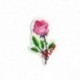 M ECUSSON LANGAGE DES FLEURS